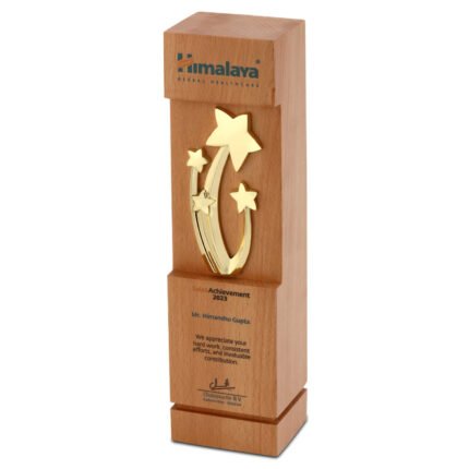 Deluxe Steam Beech Wooden Block With Star Trophy