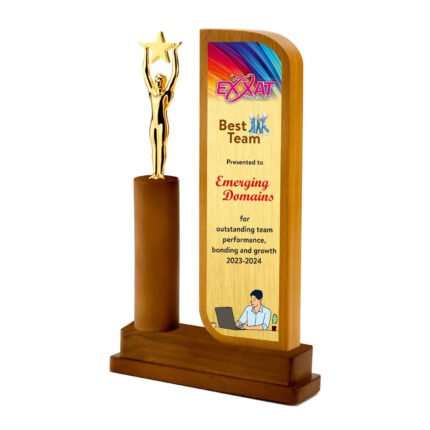 Eco-Friendly Steam Beech Pillar Trophy With Man And Star