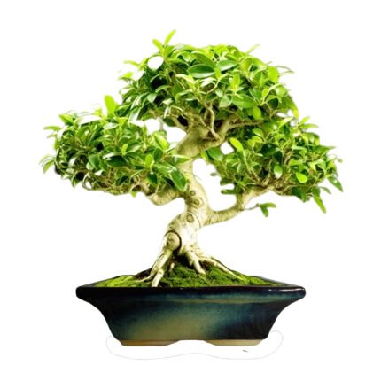 Urban Multi Ceramic Flower Pot