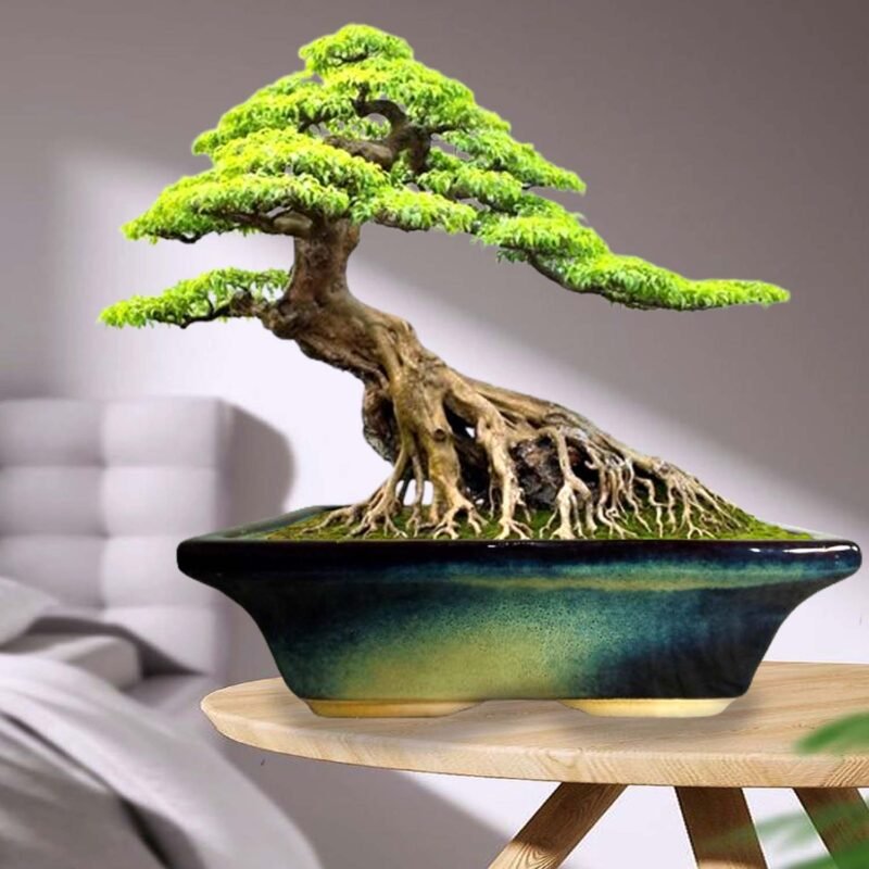 Urban Multi Ceramic Flower Pot