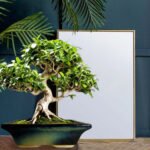 Urban Multi Ceramic Flower Pot