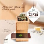 Wangari Alder 15W Wireless Bamboo Charger + Eco Planter | Includes Basil Seeds & Organic Soil